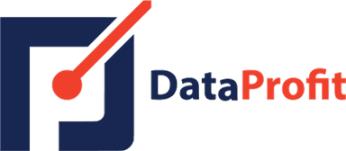 Het logo van Dataprofit.